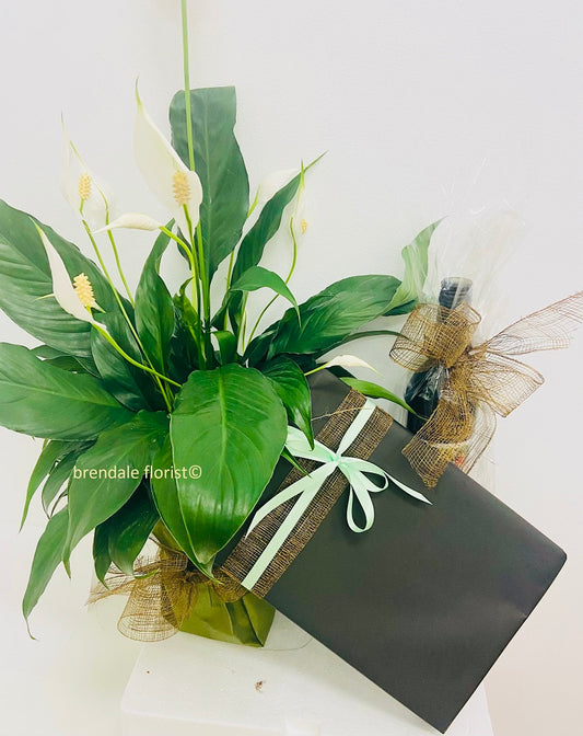 corporate gifts brendale, brendale plant delivery, strathpine corporate gifts, northside brisbane corporate gifts, plant and wine gifts brendale, brendale flowers