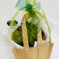 potted plant delivered brendale, POTTED PLANT DELIVERy brisbane, brisbane plant delivery, brendale platn delivery, strathpine plant delivery, eatons hill succulents delivery, brendale succulent plant delivery, petrie pland delivery, lawnton plant delivery, cashmere plant delivery, warner plant delivery